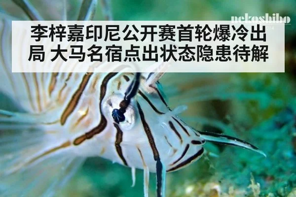 李梓嘉印尼公开赛首轮爆冷出局 大马名宿点出状态隐患待解